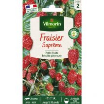 Fraisier 4 saisons Suprême