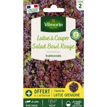 Vilmorin - Laitue à Couper Red Salad Bowl + échantillon Grenadine