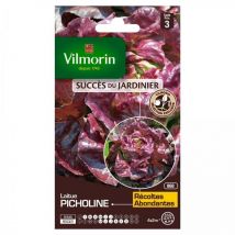 Sachet graines Laitue Picholine pommée