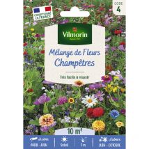 Mélange Champêtre - 10 M² - Mélange de fleurs