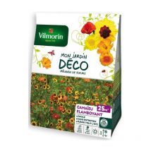 Vilmorin - Sachet graines Mélange de fleurs Camaïeu Flamboyant 25m2