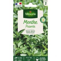 Menthe Poivrée
