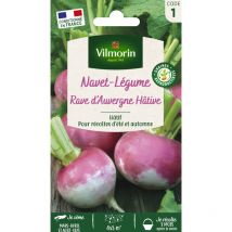 Navet-Légume Rave d'Auvergne Hâtive