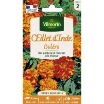 Illet d'Inde Boléro