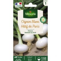 Oignon Blanc Hâtif de Paris