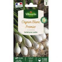 Oignon Blanc Premier
