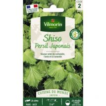 Shiso Vert - Cuisine du Monde