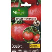 Tomate Agora HF1