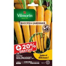 Sachets graines carottes Goldnugget HF1 +20% gratuit