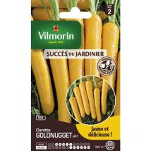 Carotte Goldnugget HF1