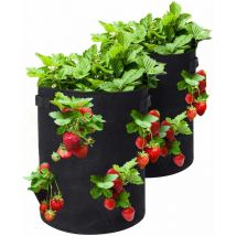 Trimec - Sacs de Culture pour Fraise, 2PCS 26L/7 Gallons Sac de Legumes, Tissu Non-tissé Sac de Plantation avec Fenêtre, Sac de Legumes de Jardin