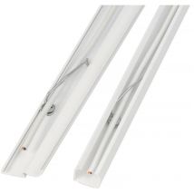 D-line - Clip serre-câbles en Acier, Résistant au Feu ( Prix pour Sachet de 50 )