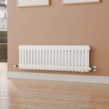 S'AFIELINA Traditional Cast Iron Radiator Horizontal White 2 Column Radiator Central Heating 300x1000mm