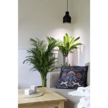 Venso E27 saga Lampenschirm Schwarz led Pflanzenlampe