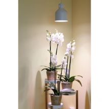 Venso E27 saga Lampenschirm Weiß led Pflanzenlampe
