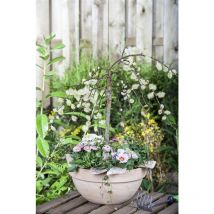 Pflanzen-für-dich.de - Salix caprea 'Pendula' Sta c 5 Krone mehrj. Sth. 80-