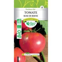 Samen von BIO-Rosa Berner Tomate Die Grünen Hände