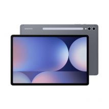 SAMSUNG Samsung Galaxy Tab S10+ 12.4" 256GB/12GB Wi-Fi Gris (SM-X820NZAREUB)