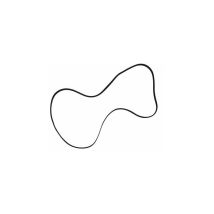Sangle audio plate 169x0,70x5mm K7078