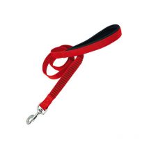 Sangle d'entraînement Gloria 2.5 x 60 cm Rouge