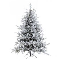 Sapin enneigé Bernina H240-4117Rami