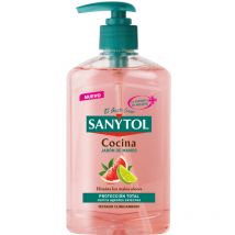Sanytol - savon pour les mains de cuisine 250ml - élimine les mauvaises odeurs - protection totale - testé cliniquement