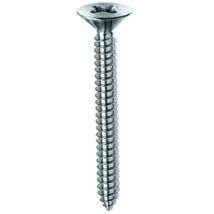 Sc Vite Autofilettante Tsp 3,9x25mm Zincata 30pz
