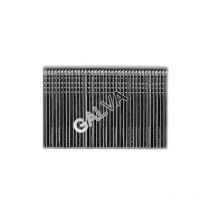SCAB 5000 pointes minibrads Galvanisées - 1.20 mm - x 5000 - 40 mm
