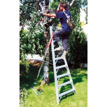 Scala agricola 6 pioli - Lunghezza 1.74m - SCA1969S/06-SCCSTO