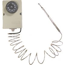 Termostato antigelo elettromeccanico - pf10y030 - bleu electrique