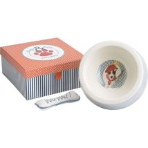 Scatola regalo per cani