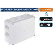 Delta - scatola stagna di derivazione con coperchio con viti in metallo quadrata 200X155X78MM con 10 passacavi ø 32 mm IP65