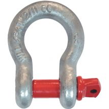 Sonstige - Schäkel geschweift 1Z tk 8,5t