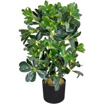 Schefflera Arboricola Plante Arbre Artificielle Artificiel Plastique 60 cm Domaine Interne Decovego