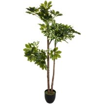 Atmosphera Créateur D'intérieur - Schefflera artificiel H130cm