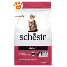 Dry Cat Mantenimento per Gatto Adult con Prosciutto 1,5kg - Schesir