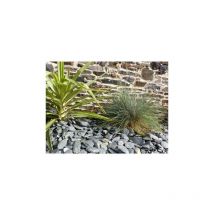 Schiefermulch grau 30-60 Pack 3 m² - 7 Säcke - 175 kg