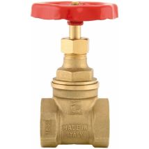 933005 Valvola a Saracinesca Universale in Ottone 1 1/4 pollice dn 32 Femmina Femmina, Volantino Rosso in Alluminio e Bullone di bloccaggio,