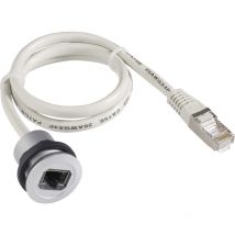 Rrjrj45 Rj45-einbaubuchse Rrjrj45 Buchse, Einbau, Stecker, Gerade Pole: 8p8c Grau 1 St. - Schlegel