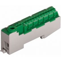 Schneider DDD1488PE - Morsetto per scala di protezione, a innesto, PE14-S, in polietilene, 2 x 4 mm, 12 x 2,5 mm, colore: Verde/Giallo