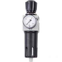 Filtro Schneider riduttore di pressione FDM 1/4 W DGKD225026