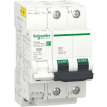 SCHNEIDER R9L20640 Limitatore di sovratensione transitorio e permanente Combi SPU 1P+N 40A Resi9