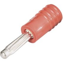 Schnepp Üs 4020 Rt Spina Passante Spina 4 Mm - Presa 2 Mm Rosso 1 Pz.
