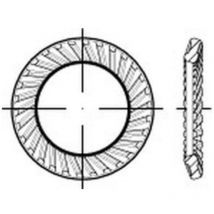 Scheiben Federstahl s 6 mech. verzinkt mech Zn s 1000 Stk - Schnorr