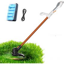 Litheli - Akku-Rasentrimmer U20 20V 2.0Ah se, 25cm Schnittkreis, inkl. Akku, usb-c Ladekabel und 10 Nylonmesser