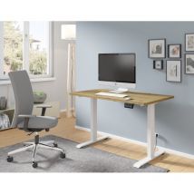 Petits-meubles - Elektrisch höhenverstellbarer Schreibtisch 120x65 schwarz/matt weiß