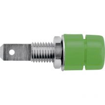 Ibu 5568 Ni / gn Prise encastrée vert 1 pc(s) Y150802 - Schützinger