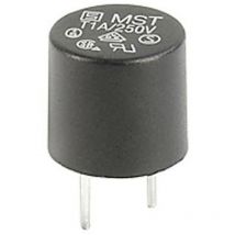 0034.6618 0034.6618 Kleinstsicherung 2.00 a 250 v/ac Träge -t- 1 St. - Schurter