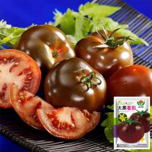 Schwarze Tomaten Samen Set 2 Beutel, Tomaten Saatgut Selten