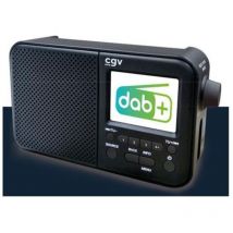 Schwarzes digitales tragbares radio CGV 13031